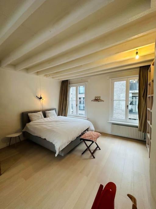 Apartment Charmante Woning In Center Antwerpen